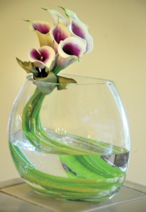 curvaceous-calla-lilies-impress